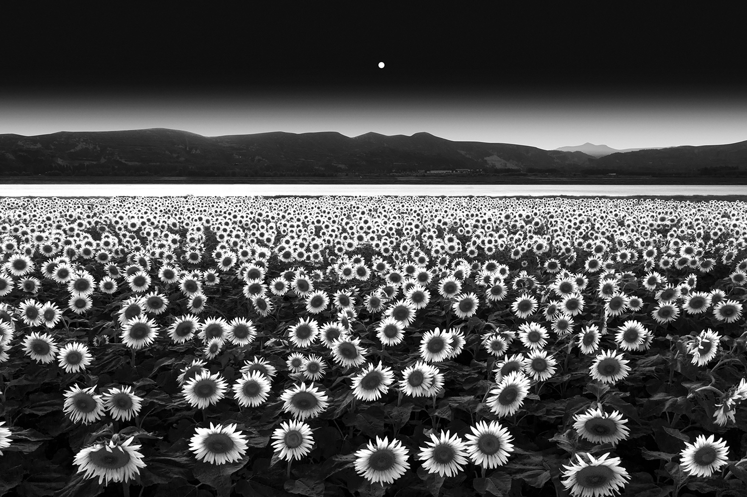 Sӹŵꖻ_x28ȫzӰˇgչ[޽z