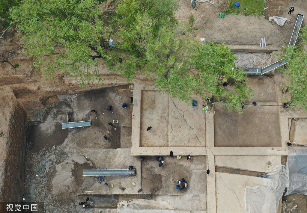 2023320ŌW·ʳǿŰlF_չ