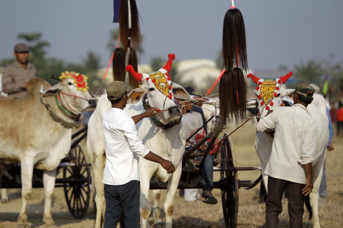 42ڼկϲʿʡrʂ䅢sţ܇ِ