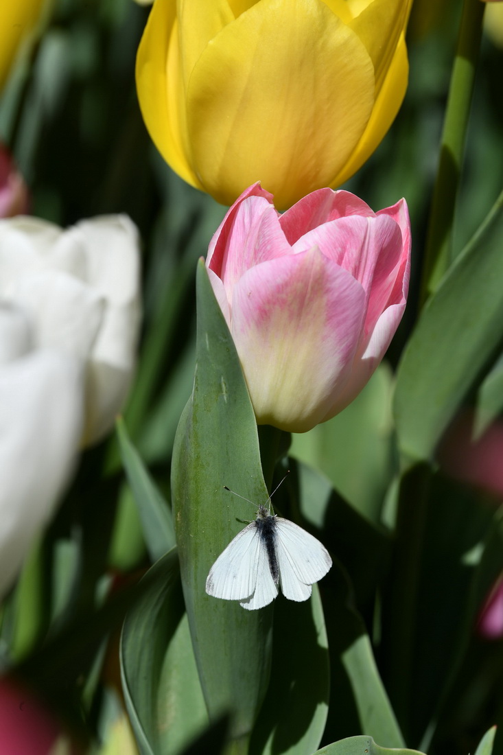 48˹̹נʹ@rʢ_