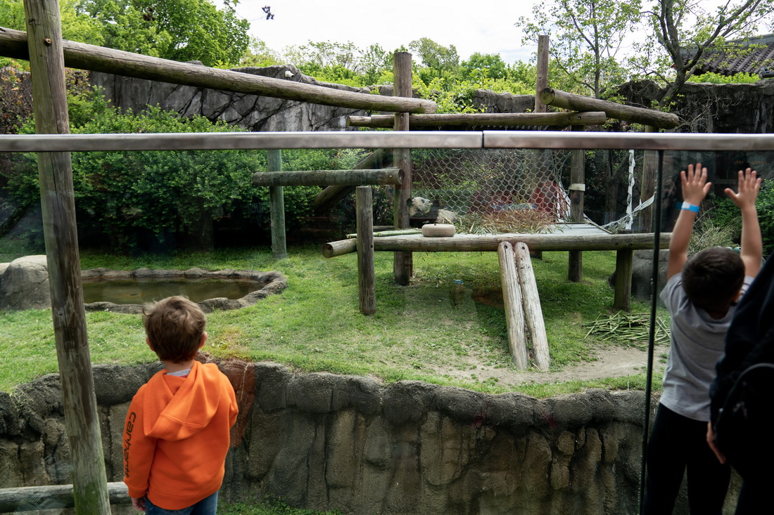 @425{Ϸ˹@ĔzĴ؈ѾѾ 