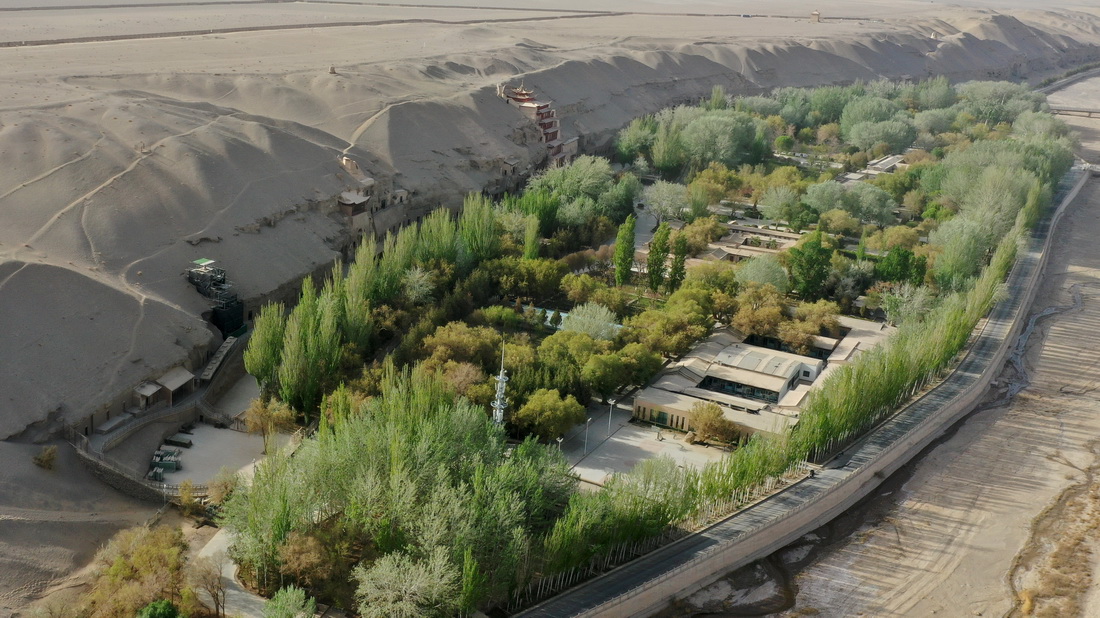 425ĔzĪ߿߿߅^o˙CƬAӛ  z