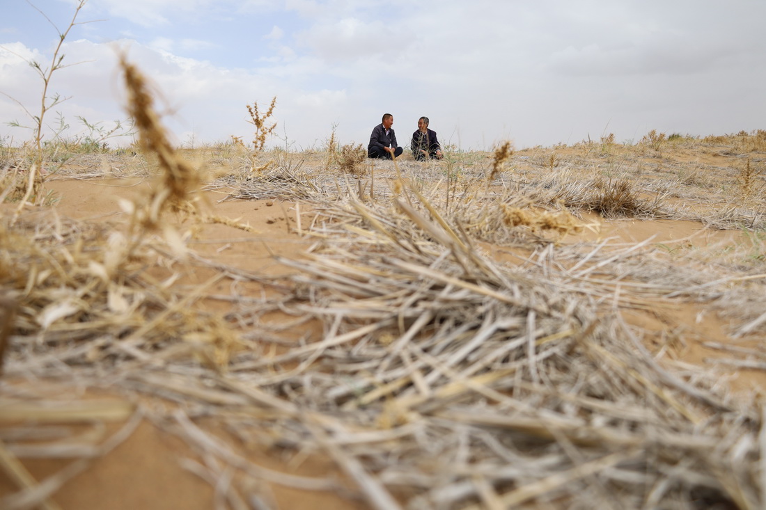 56ڶɳ˹fңʯyɽڹ˿hһƬɳ^^ɳrAӛ Rϣƽ z