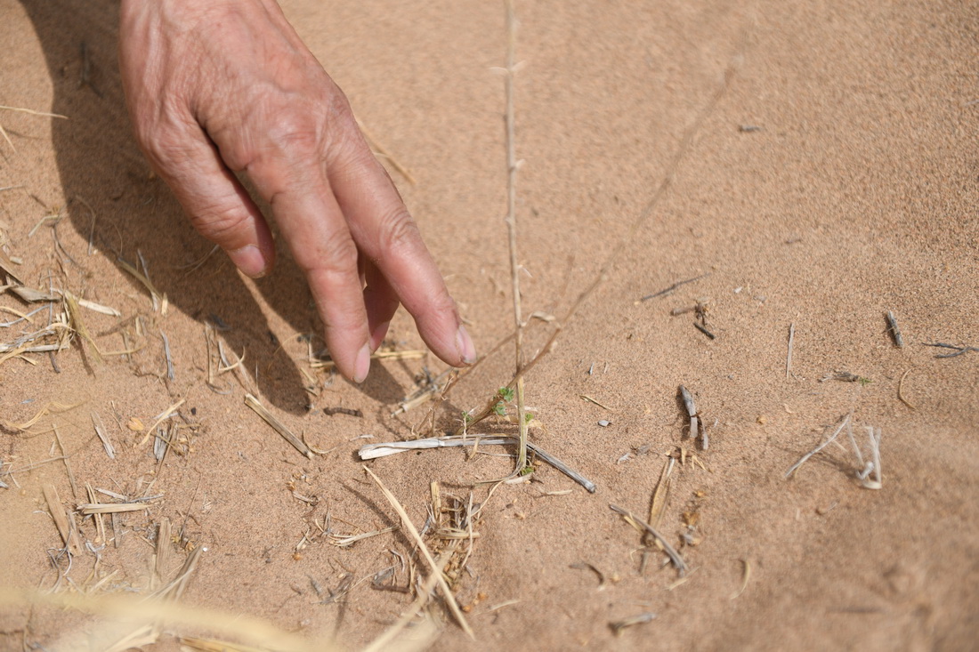 56˲ɳڶɳ˹fڹ˿hһƬɳ^鿴LrAӛ ƽ z