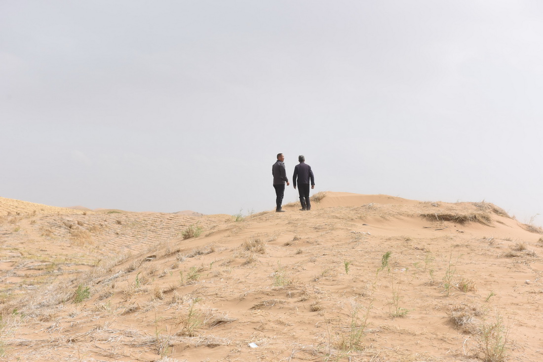 56˲ɳڶɳ˹fңʯyɽڹ˿hһƬɳ^鿴ɳrAӛ S z