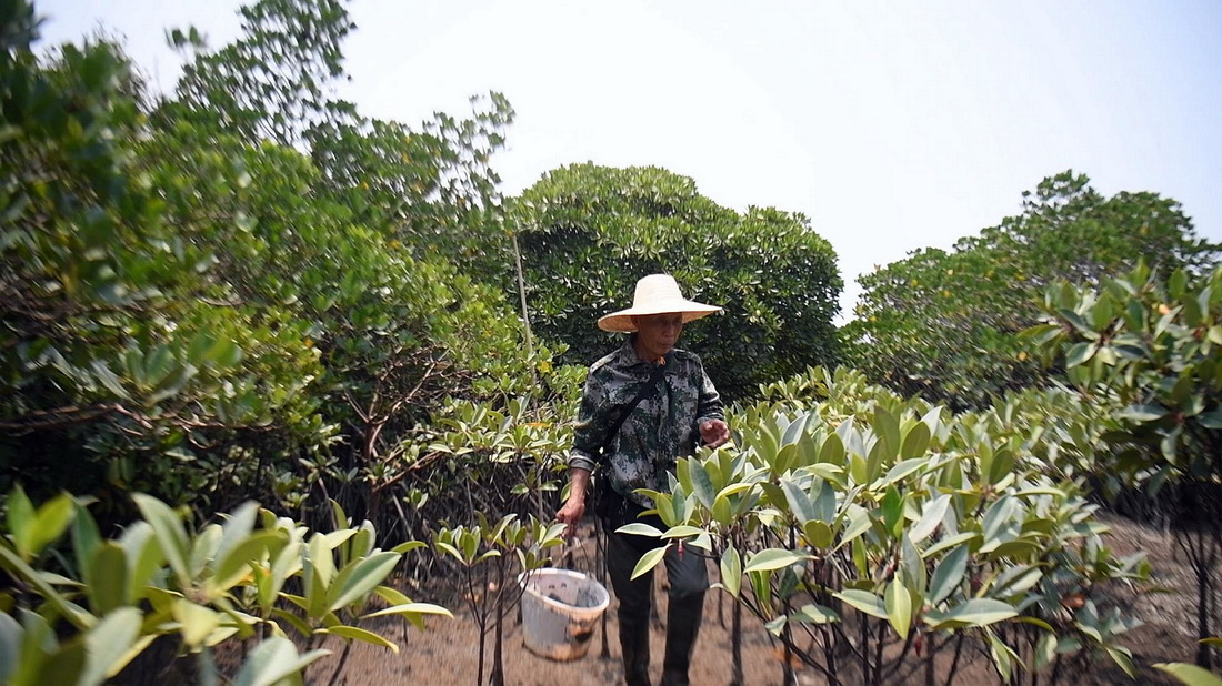 ĪeѲt֣520ՔzAӛ  z