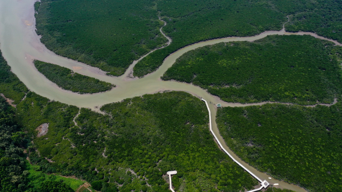 @ǏVɽڼtֱo^һǣ520Քzo˙CƬAӛ  z