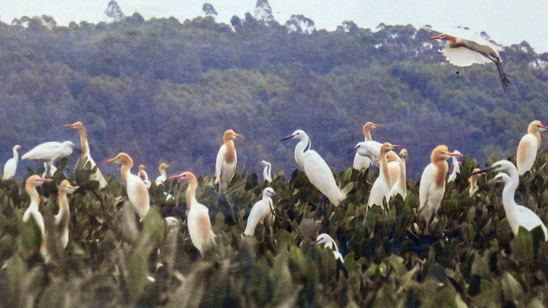 @ĪeĔzڏVɽڼtֱo^ϢBYƬAl