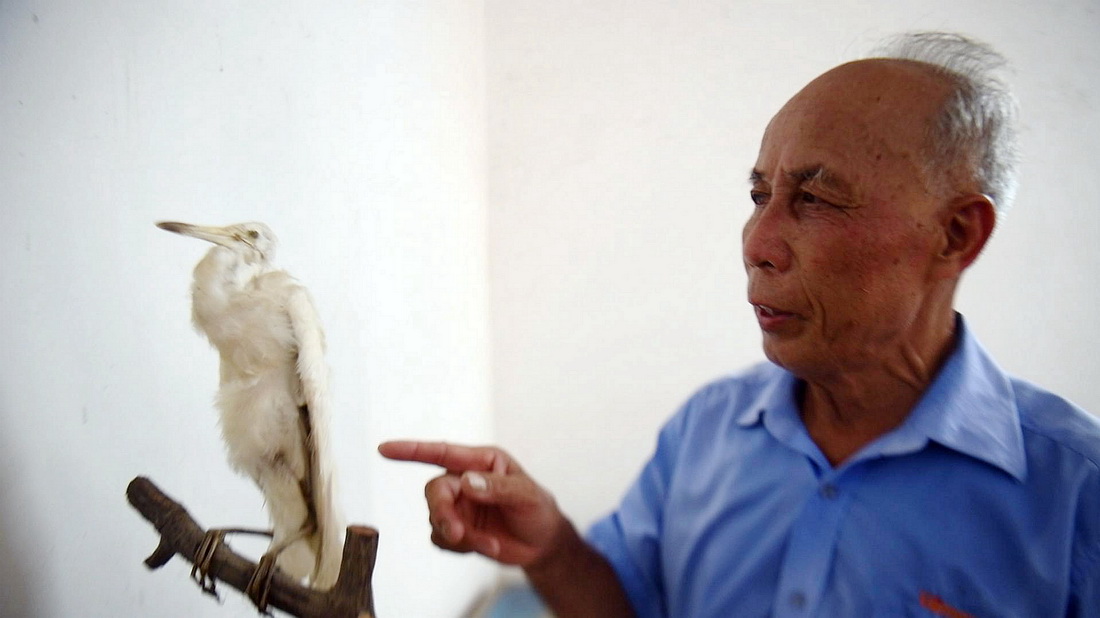 Īe˽B˱^̣520ՔzAӛ  z