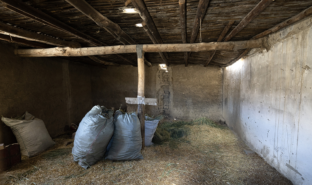 @528ĔzѽďUĵǴ塰ȲAӛ MïA z