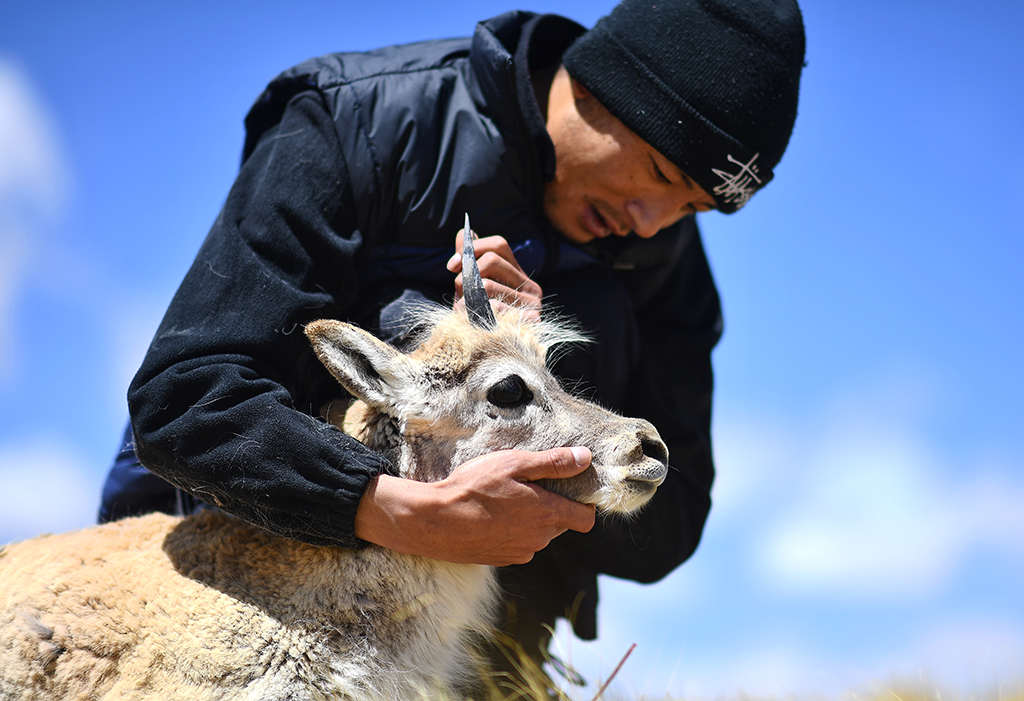 530ڿɿҼȻo^_ܱoվѲɽ꠆TĶܺͲһAӛ Ѧ z