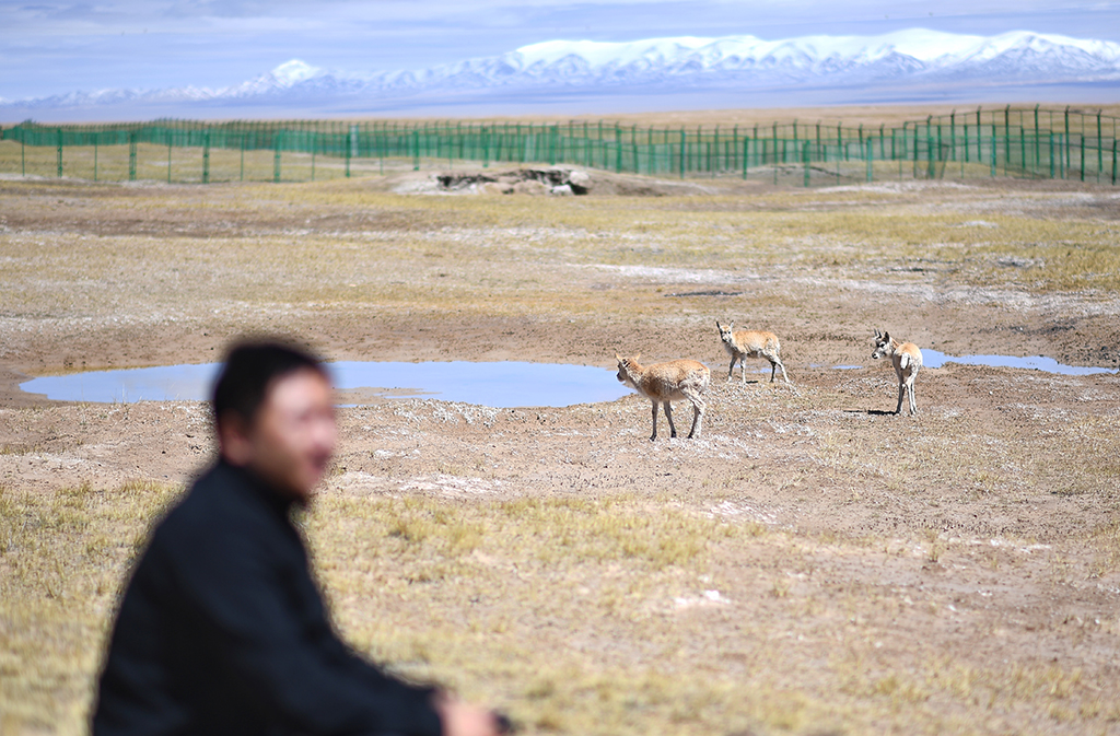 ڿɿҼȻo^_ܱoվҰĻӣ530ՔzAӛ Ѧ z