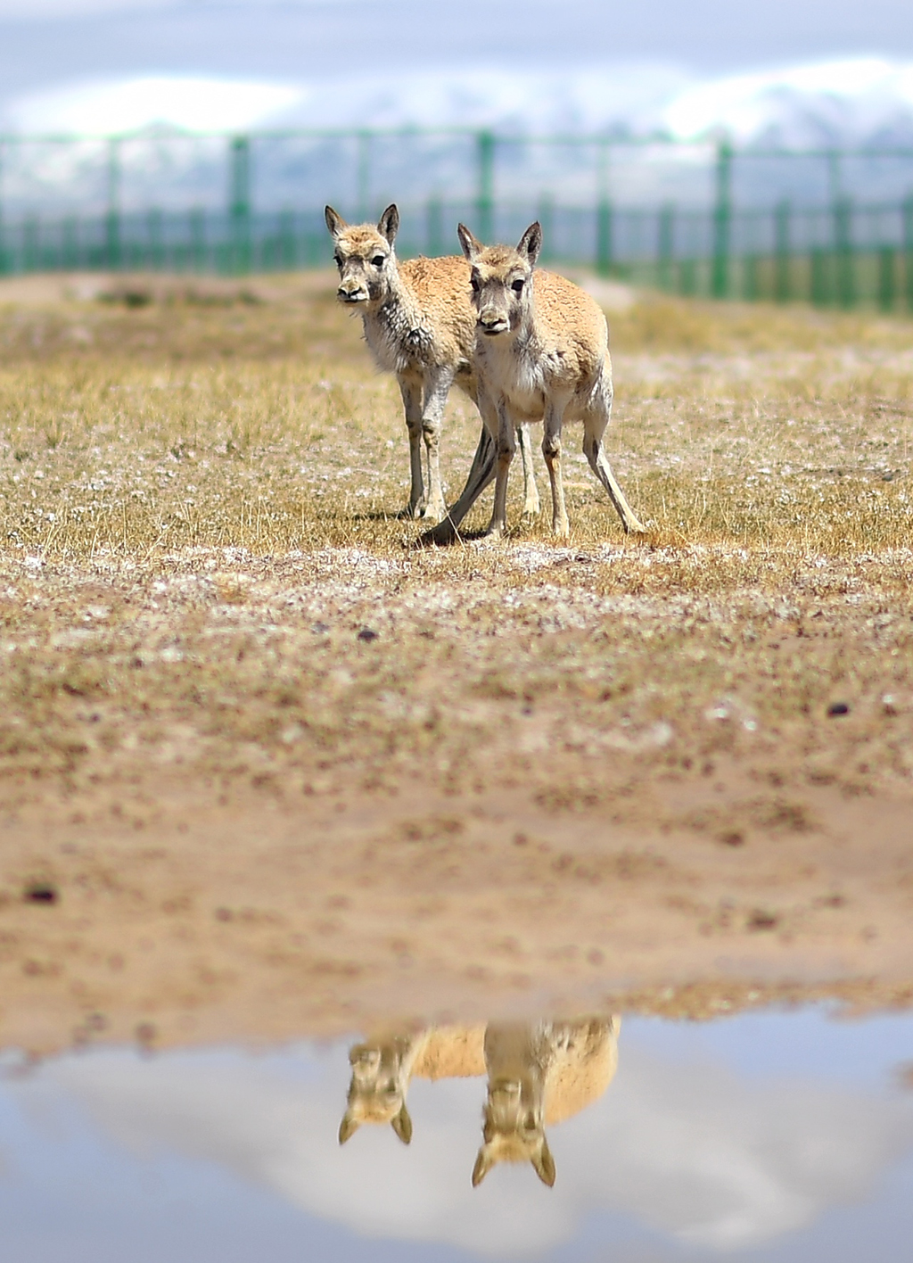 ڿɿҼȻo^_ܱoվֻҰĻӣ530ՔzAӛ Ѧ z