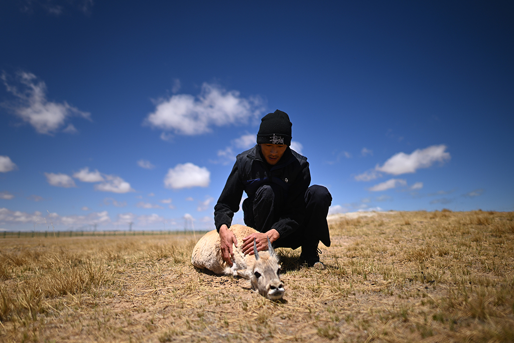 ڿɿҼȻo^_ܱoվѲɽ꠆TĶҰĲ鿴Ĳwr530Քz Aӛ  z