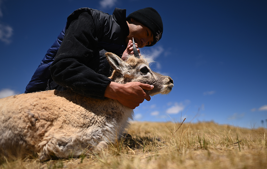 ڿɿҼȻo^_ܱoվѲɽ꠆TĶҰĲ鿴Ĳwr530ՔzAӛ  z