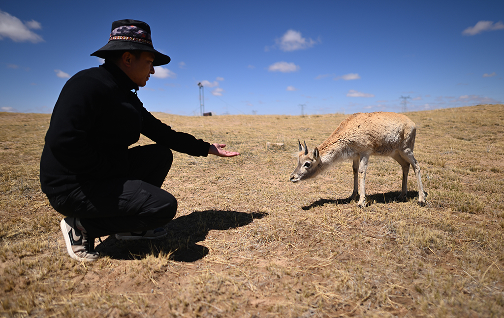 ڿɿҼȻo^_ܱoվѲɽ꠆TɣҰăcһֻС򻥄ӣ530ՔzAӛ  z