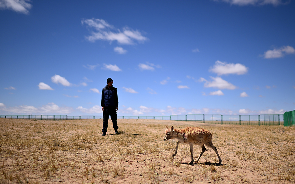 ڿɿҼȻo^_ܱoվһֻСҰĻӣ530ՔzAӛ  z