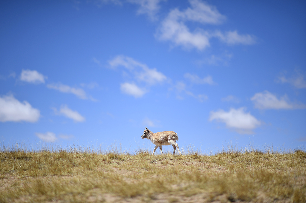 ڿɿҼȻo^_ܱoվһֻҰĻӣ530ՔzAӛ Ѧ z