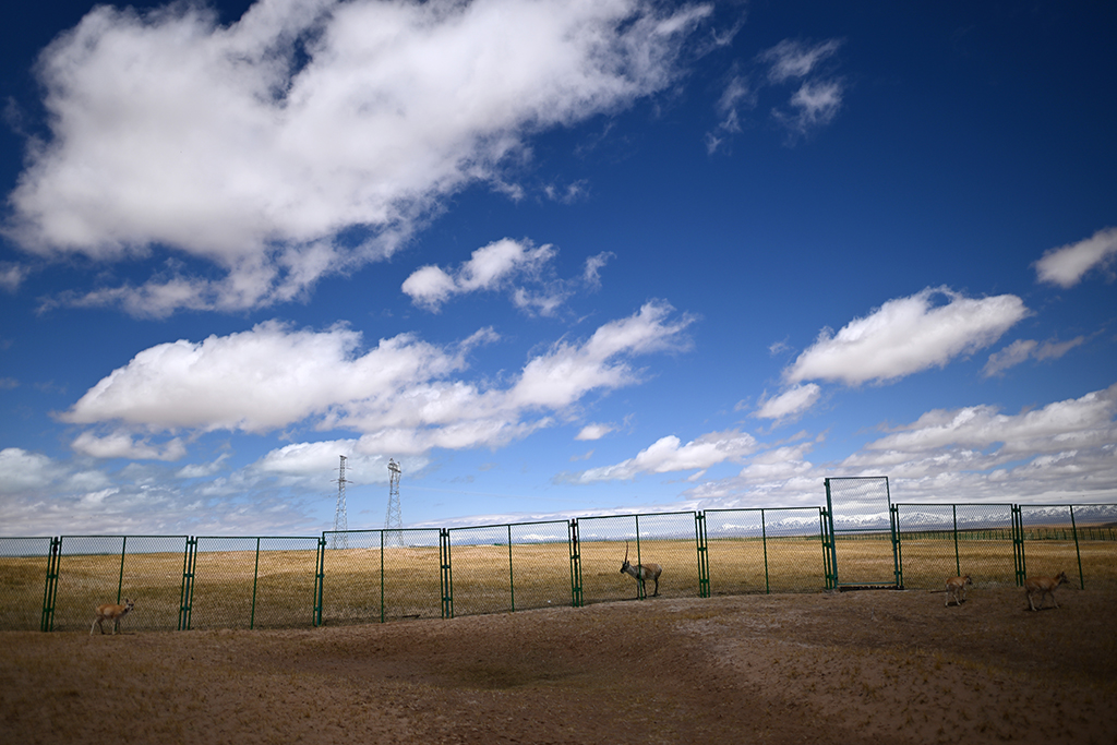 @ǿɿҼȻo^_ܱoվҰһǣ530ՔzAӛ  z