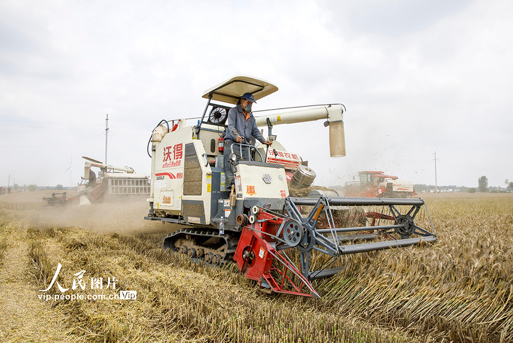 531ʡꖿhǳ悹ϴոCæµIzDƬW