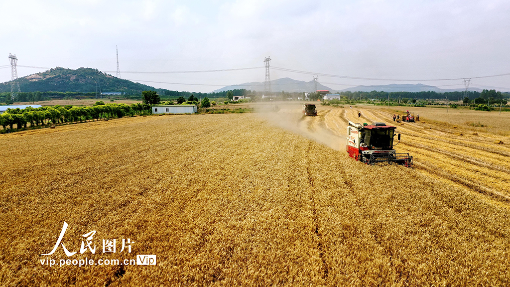 531ʡP^xfIړץrrոСFһƬæxzDƬW