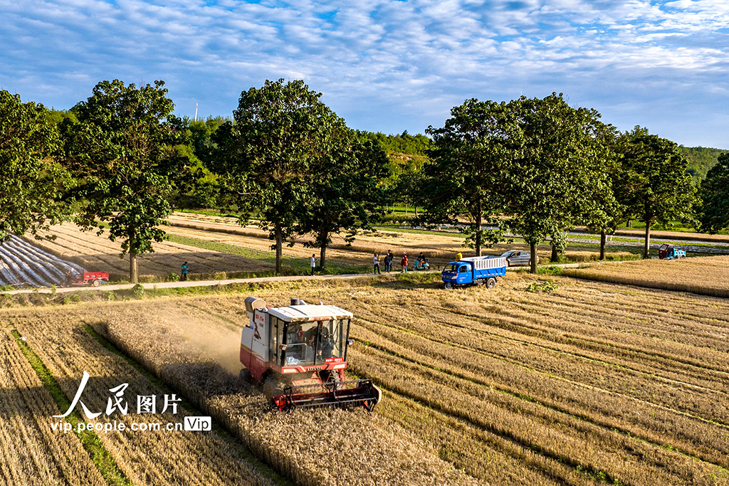 61ʡ`lεһƬrC{ոCոСŽܔzDƬW