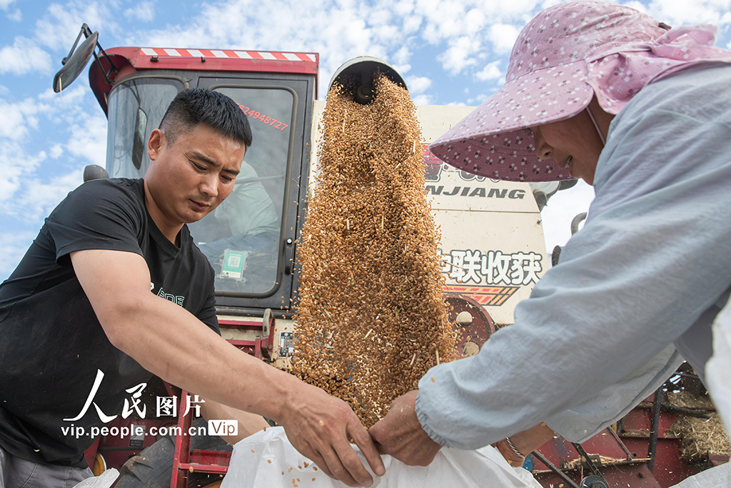 61ʡ匎hlCеRļZæzDƬW