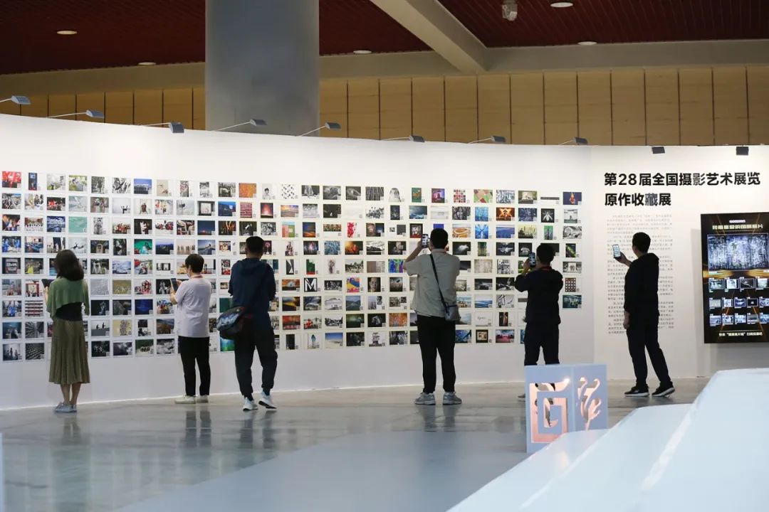 ϲgćչƬF^ͶƱ^ppz