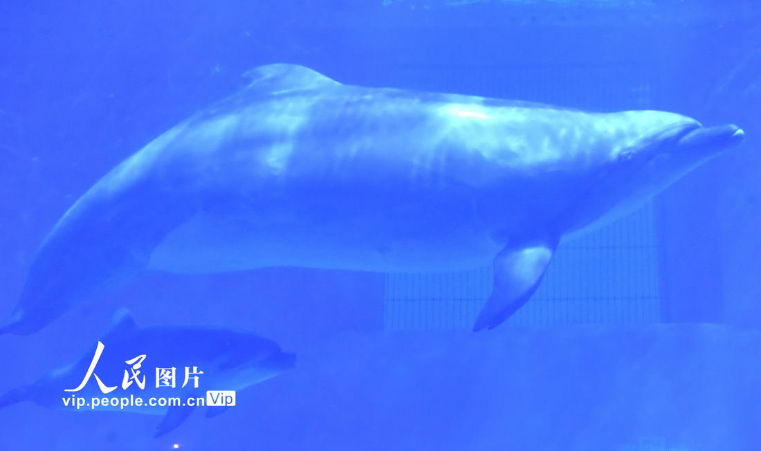 78FOغ繫@Ĕzĺ͌