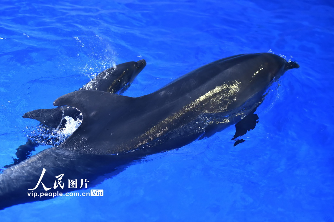 78FOغ繫@Ĕzĺ͌