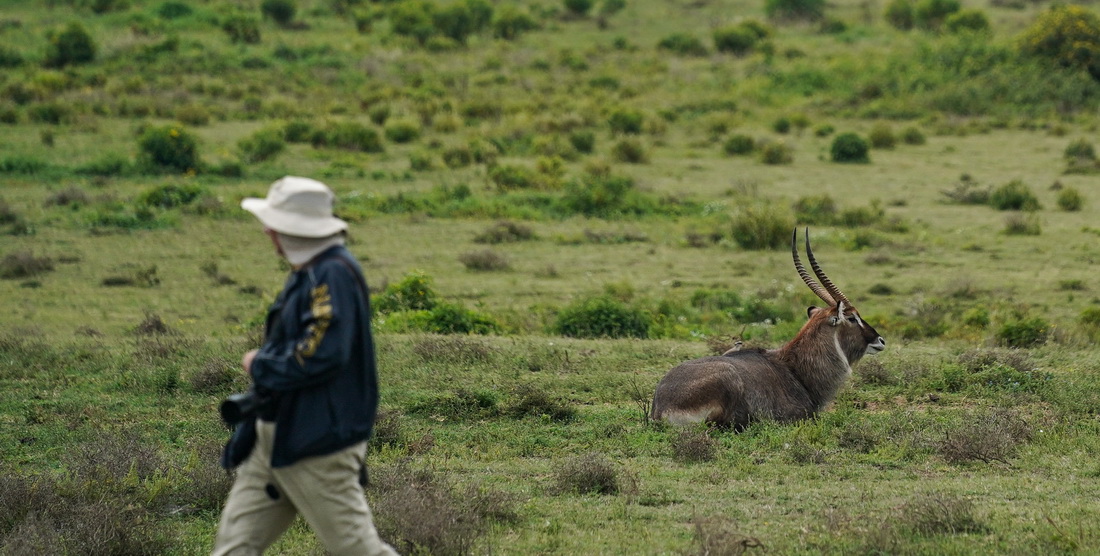 78һοڿ၆ɳu[