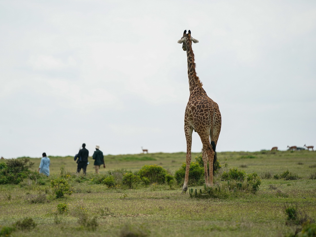 78һֻLi¹ڿ၆ɳuϻ