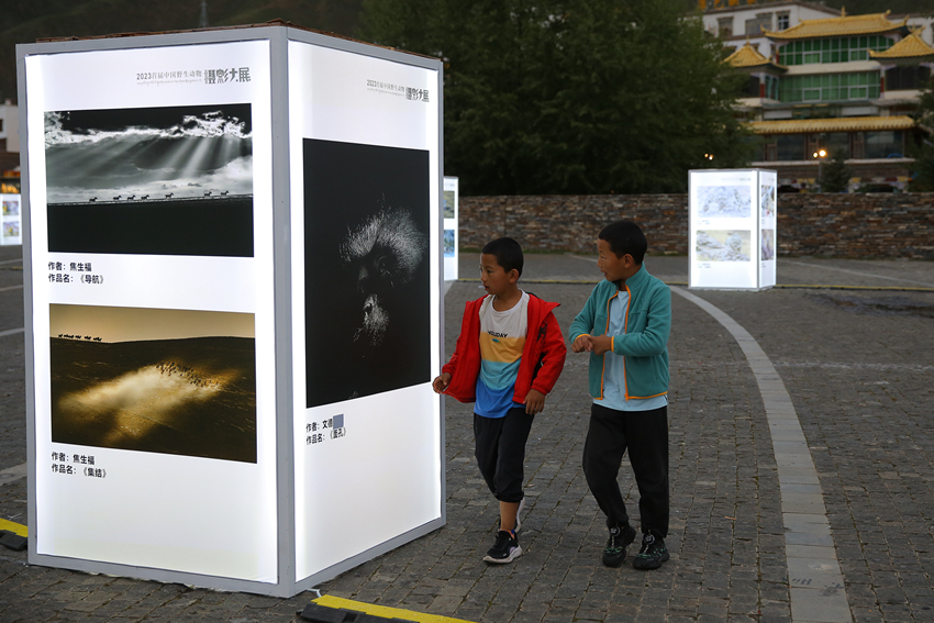 ^׌ЇҰzӰչЇzӰ҅fD