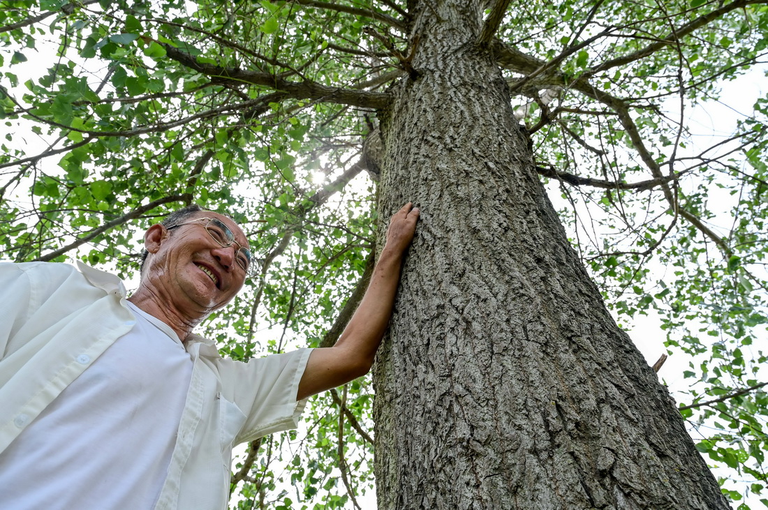 8月2日，百順撫摸他種的第一棵樹。新華社記者 連振 攝