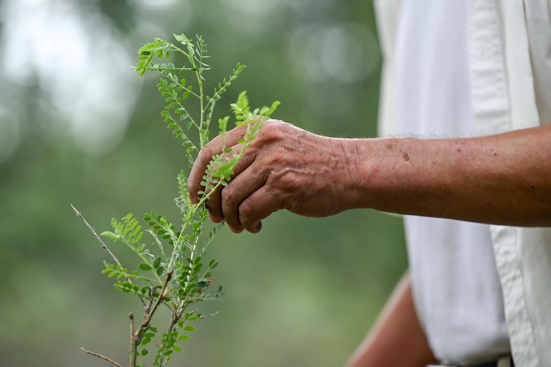 82֓Nµ\uɳֲAӛ B z