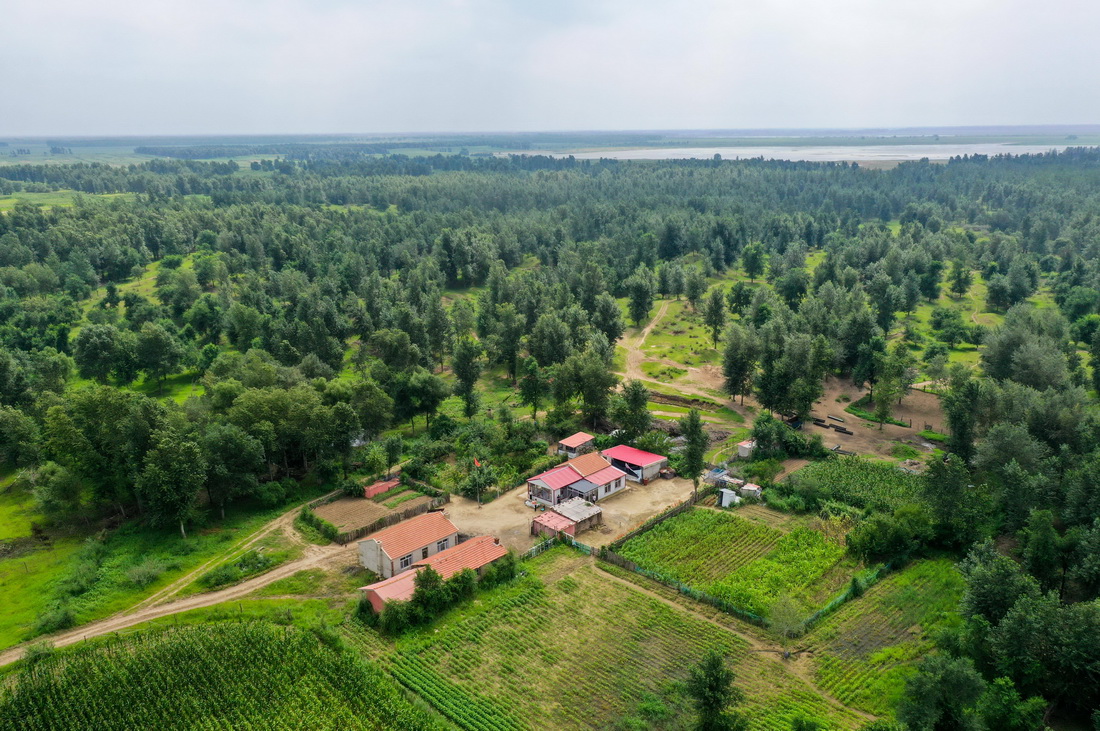 82Ĕzİ혵ļңo˙CƬAӛ B z