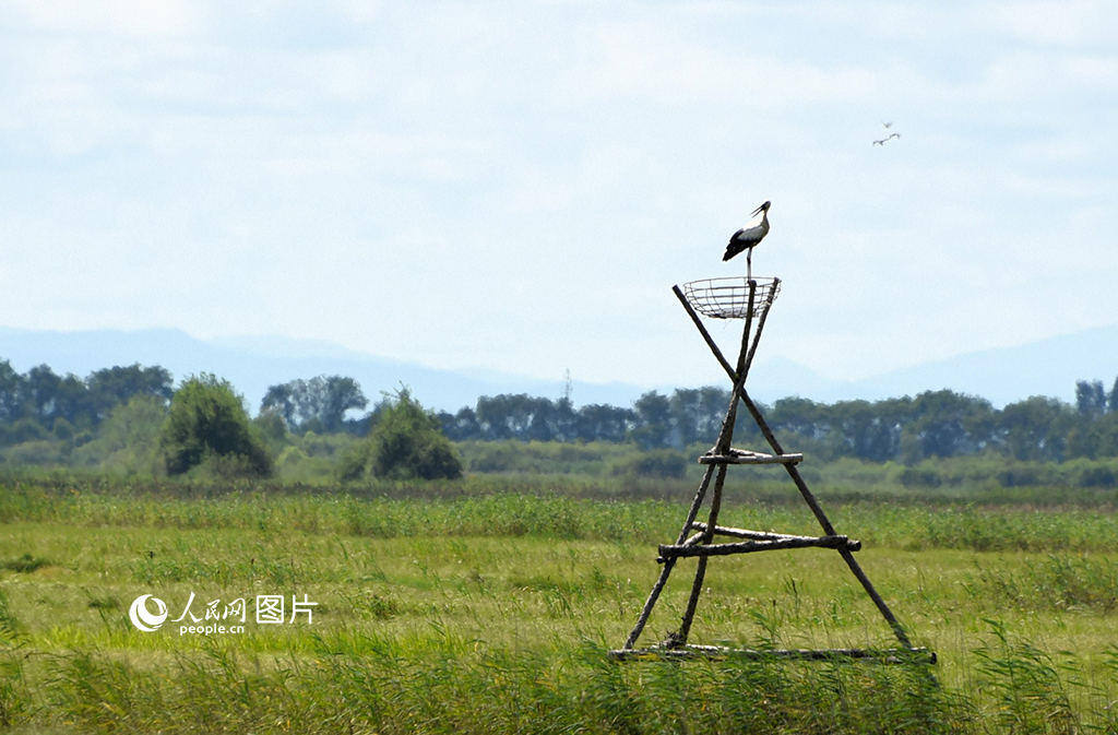 731ںӇҼȻo^ǧBһֻ|X˹B˽ǧBĿǰȬF^߂Եһ̎B^Wӛ Kz