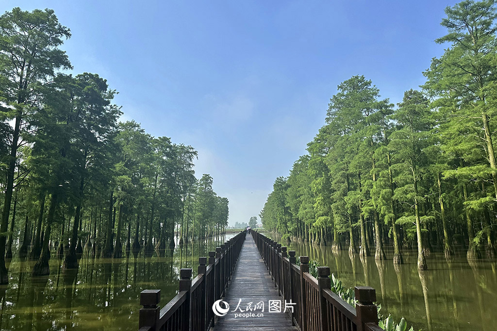 ʢĕrhqɺع@һKġGΡһƬGĳɼˮڪصĵλԓ؅^SǶNoBķֳغ͗ϢĴ~S~ȻķN|Wӛ z