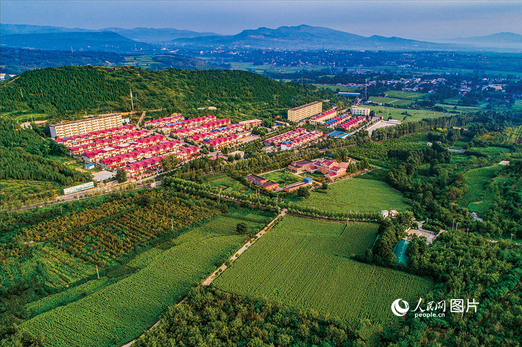 ʢĵĺʡϴStჰȻȺɽh@Gϴ̎ӃɎXgĻNݠ^ǧ҈@^ͿFɽX@CwѳҎģ2014걻u顰ȫBĻ塱2022걻u顰ʡlɫ塱Wӛ dz