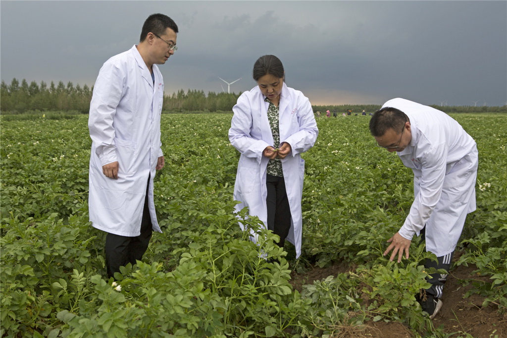 scF꠳ɆTMRgzyKȔz