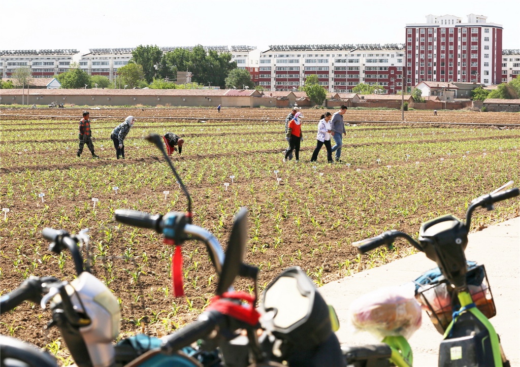 sIF꠵ԇز鿴ƷNrKȔz