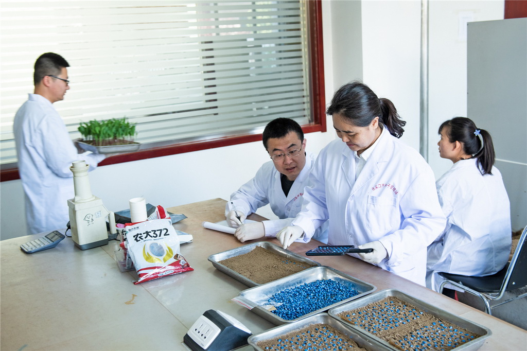 sָF꠳ɆTɷN|zyKȔz