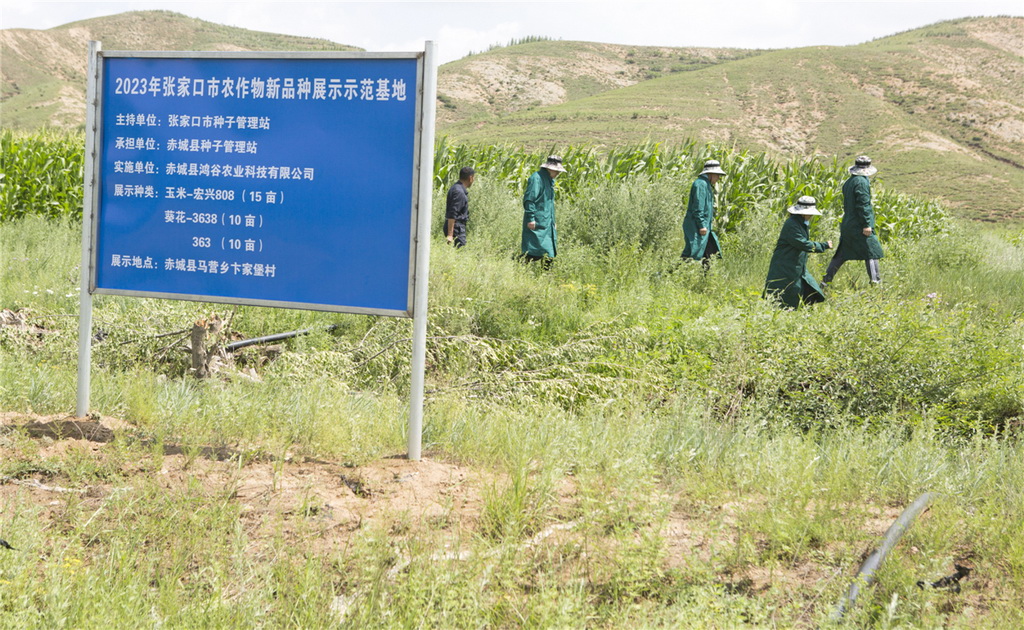 sIFꠙzƷNչʾʾKȔz