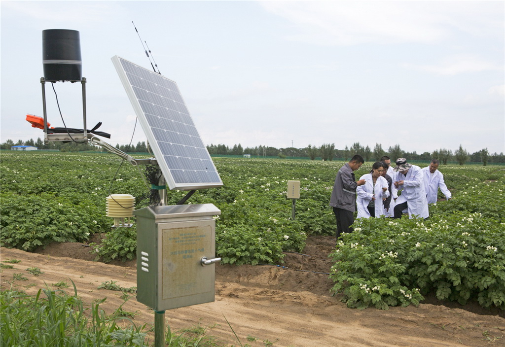 scF꠳ɆT̽ӑRˮʷNֲģʽKȔz