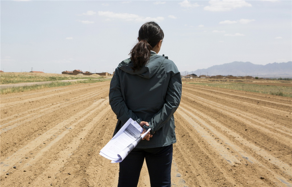 挦VďԫsҎµķNֲӋKȔz