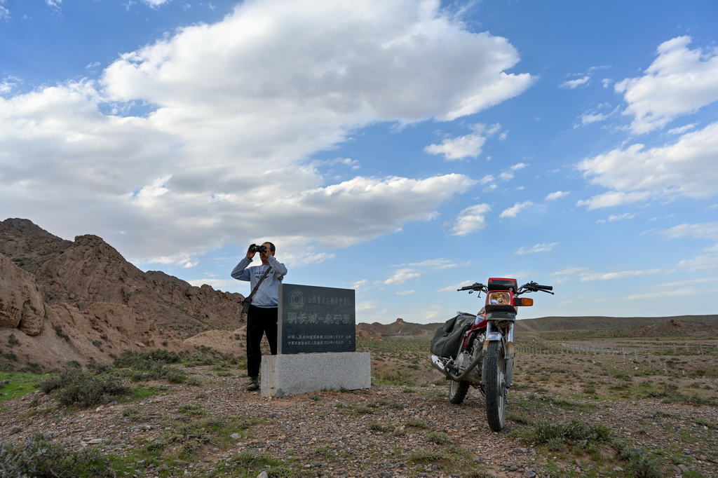 820TĦ܇ѲRmɽؾLhR^h̎LrAӛ  z