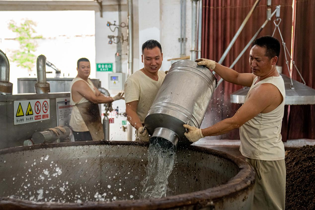 制酒工在進行上甑前準備工作 伊霄攝