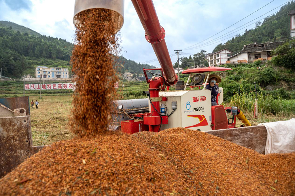 tͮͮĸͨ^͹D\_ww} ֔z