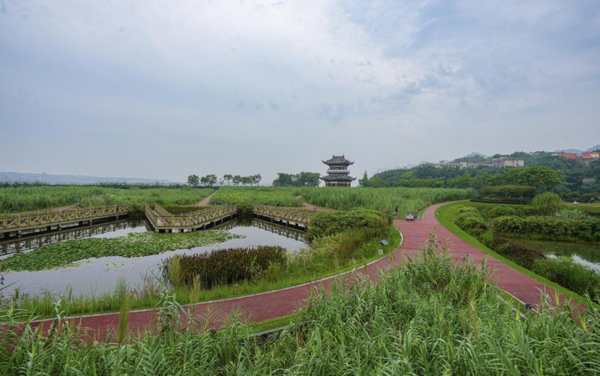 建設生態濕地“凈水器”