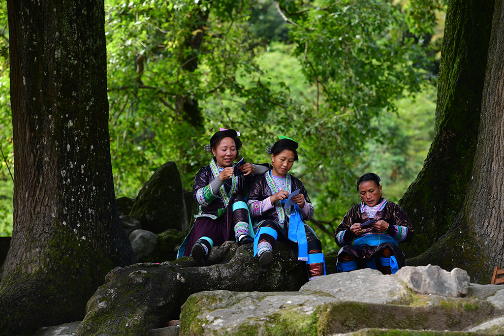 ӢկDŮӢһڴC20191018ՔzAӛ SТ z